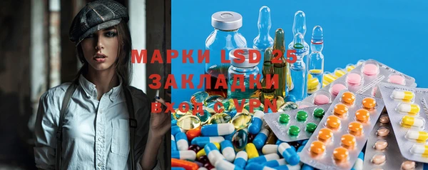 spice Алзамай