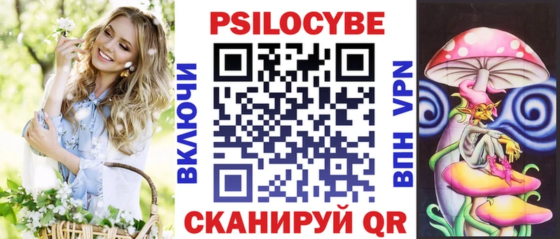 где купить   Сосновка  Псилоцибиновые грибы Psilocybe 